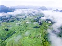大地回春