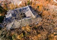 深山藏古寺