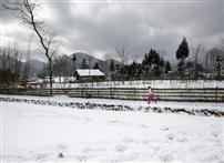 冰天雪地
