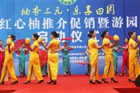 花好柚圆