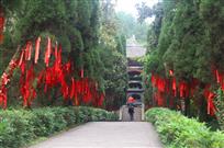 闲游仙山静