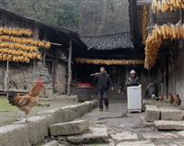 干活去喽