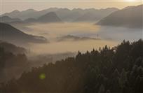 云雾缭绕似仙景