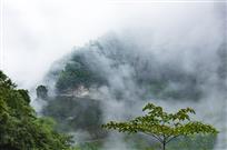 雾掩山羞