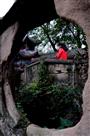 透过沧桑