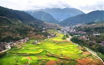 美丽暨龙