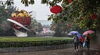 雨中即景