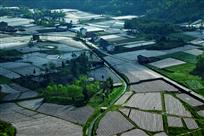 《春回大地》