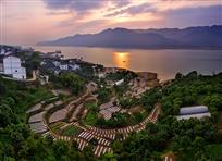 《长江边的蔬菜基地》