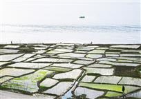 沧海桑田