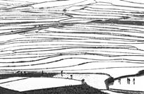 田原诗篇