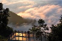 光辉岁月