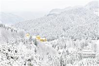 林海雪原