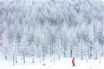 冰雪童话