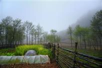 静静的田野