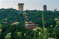 世界鬼城