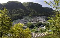 金山银山