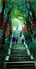 登名山游鬼城