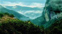 云雾山中