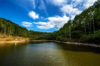 绿水青山