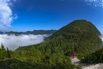 太平凤凰山