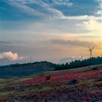 那山那天那心情