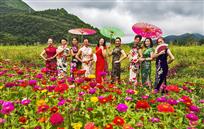 百花争艳