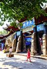 名山小游客