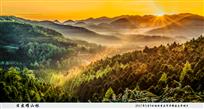 日出耀山林