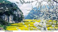 暨龙镇春意浓
