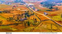 锦绣田园