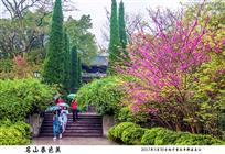 名山春色美