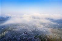 《小雪之晨》