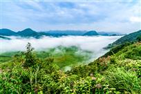 白云升远岫