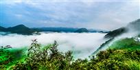 白云倒海忽平铺