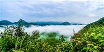 苍翠山峦涌海涛