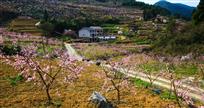 桃花山庄