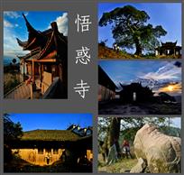 悟惑寺