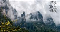 《峰回雾转》