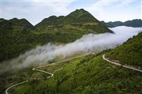 山舞银蛇