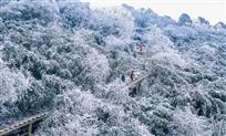 漫天飞雪