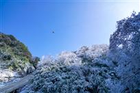 雪中送炭