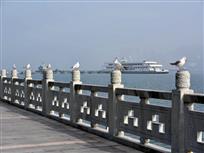 站岗