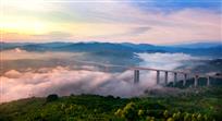 五彩雾霭绕大桥