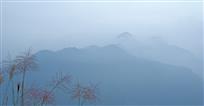 山岚秋色