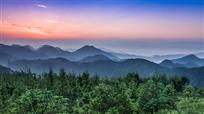 《绿色山峦》