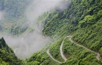 雾绕乡村路