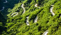《山路弯弯》