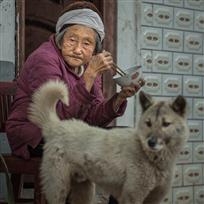 陪伴