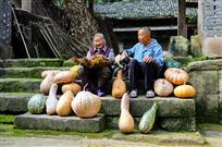《乐趣》